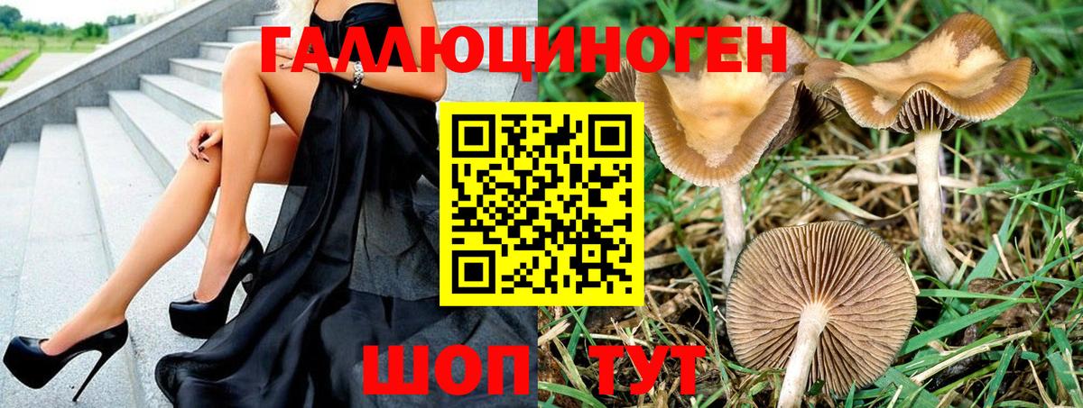 Псилоцибиновые грибы MAGIC MUSHROOMS Коркино